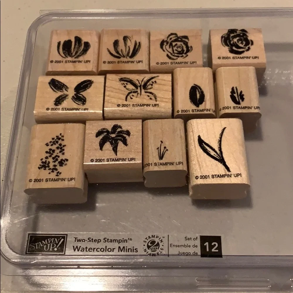 🎭 3/$25 - Stampin Up! Watercolor Minis two step